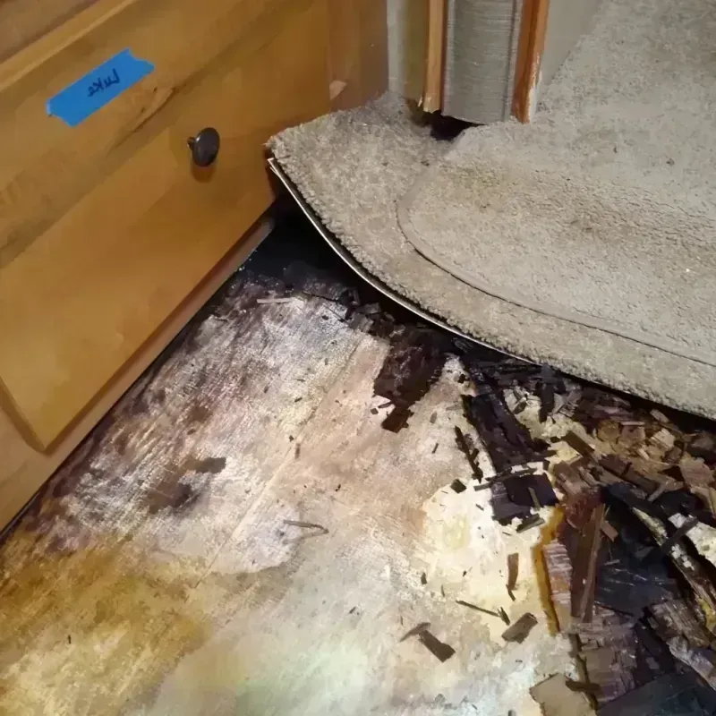 Wood Floor Water Damage in Plainwell, MI